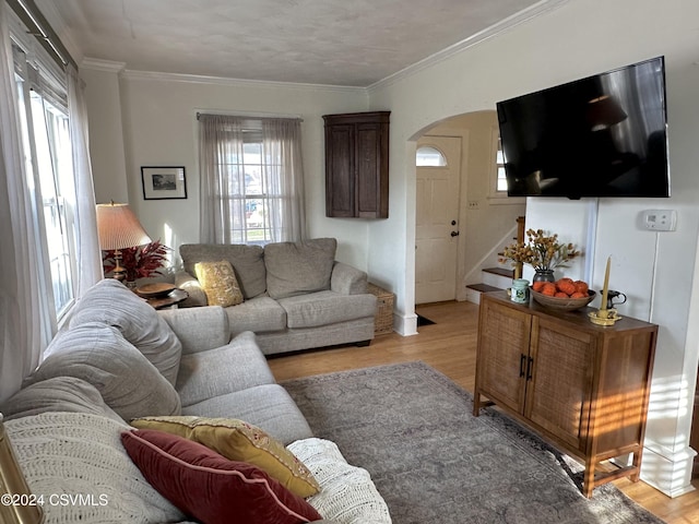 living room featuring crown molding and light hardwood / wood-style flooring