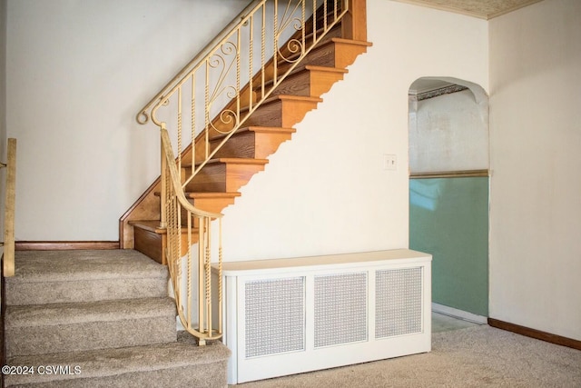 stairs with carpet flooring