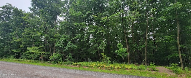 LOT8 Collister Dr, Nescopeck, PA 18635