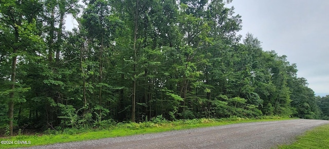 Listing photo 2 for LOT8 Collister Dr, Nescopeck PA 18635