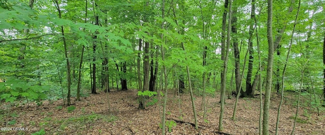 Listing photo 3 for LOT8 Collister Dr, Nescopeck PA 18635