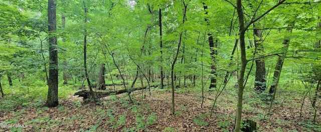 LOT8 Collister Dr, Nescopeck, PA 18635