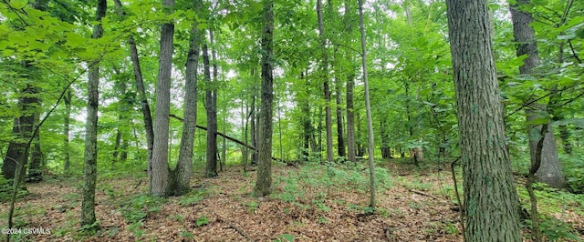 LOT8 Collister Dr, Nescopeck, PA 18635