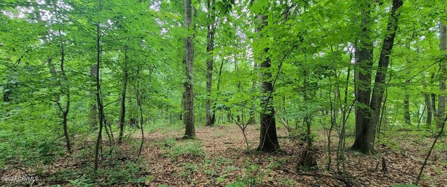 LOT8 Collister Dr, Nescopeck, PA 18635