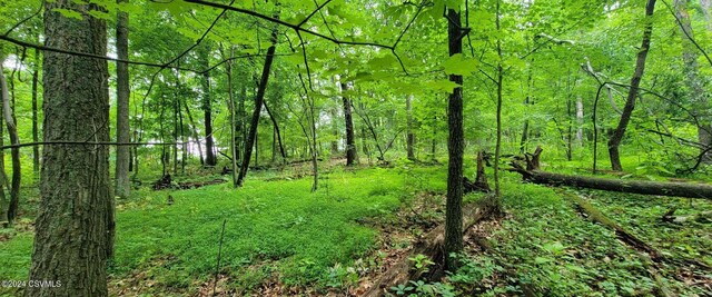 LOT8 Collister Dr, Nescopeck, PA 18635