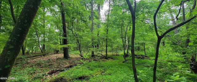 LOT8 Collister Dr, Nescopeck, PA 18635