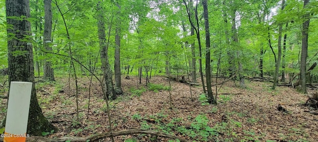 LOT8 Collister Dr, Nescopeck, PA 18635