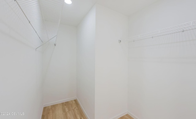 spacious closet featuring hardwood / wood-style flooring