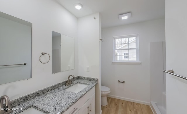 bathroom featuring vanity, wood-type flooring, and toilet