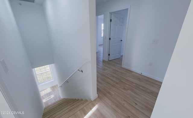 stairs with hardwood / wood-style flooring