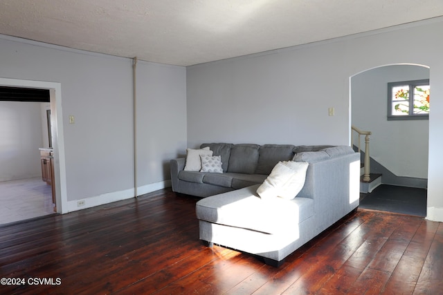 living room featuring dark hardwood / wood-style flooring