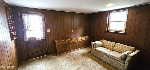 interior space with wood walls