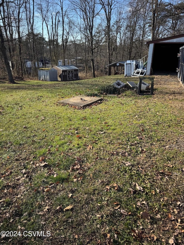 view of yard with an outbuilding