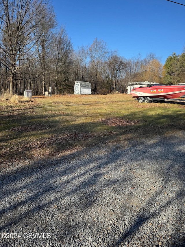 view of yard with a storage unit