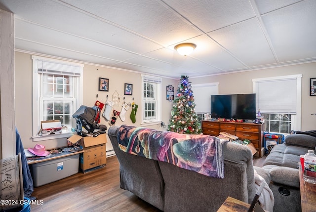 living room with a paneled ceiling and hardwood / wood-style flooring