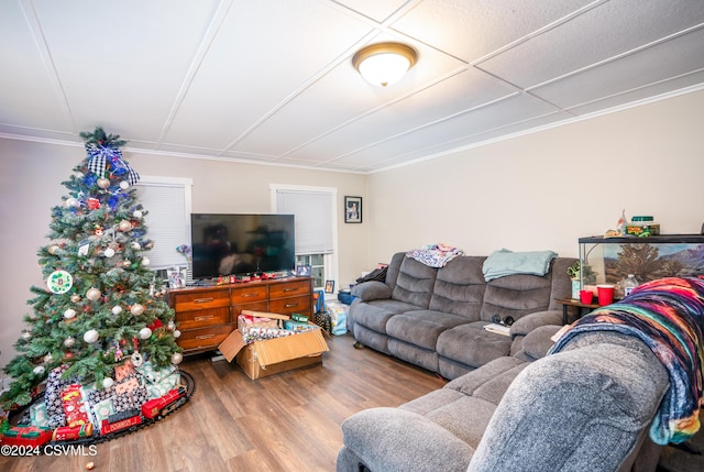 living room featuring hardwood / wood-style flooring