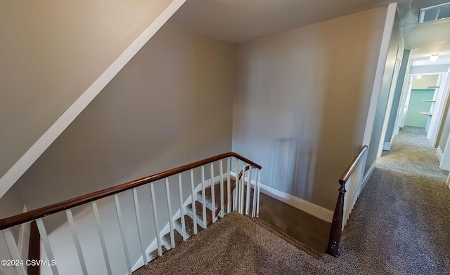 staircase featuring carpet flooring