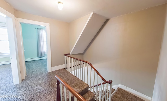 stairway featuring carpet