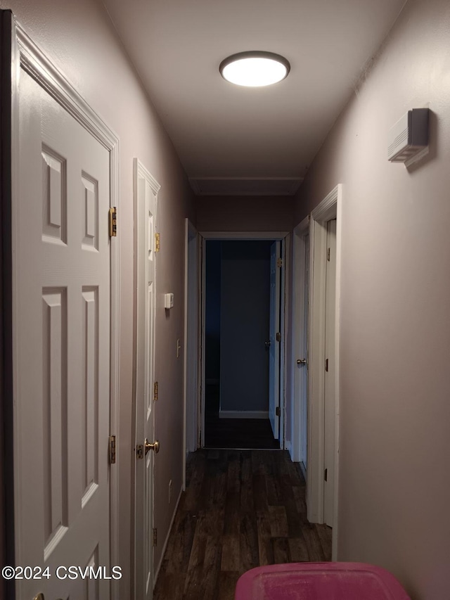 hallway featuring dark wood-type flooring