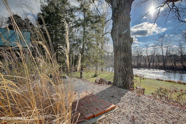 view of yard featuring a water view