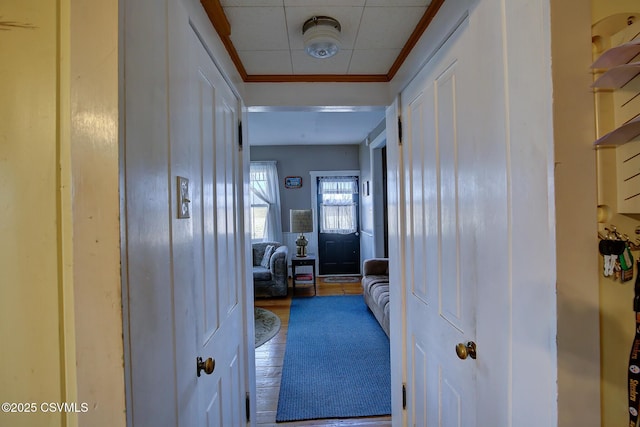 hallway featuring hardwood / wood-style flooring and crown molding