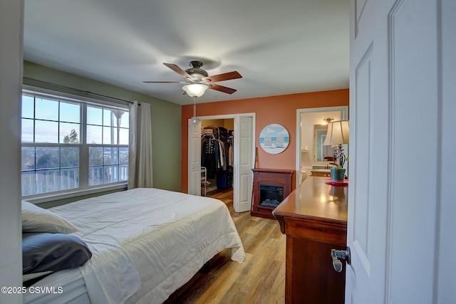 bedroom with ceiling fan, ensuite bathroom, a walk in closet, a closet, and light wood-type flooring