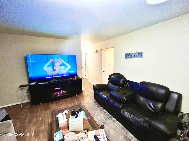 living room featuring hardwood / wood-style floors