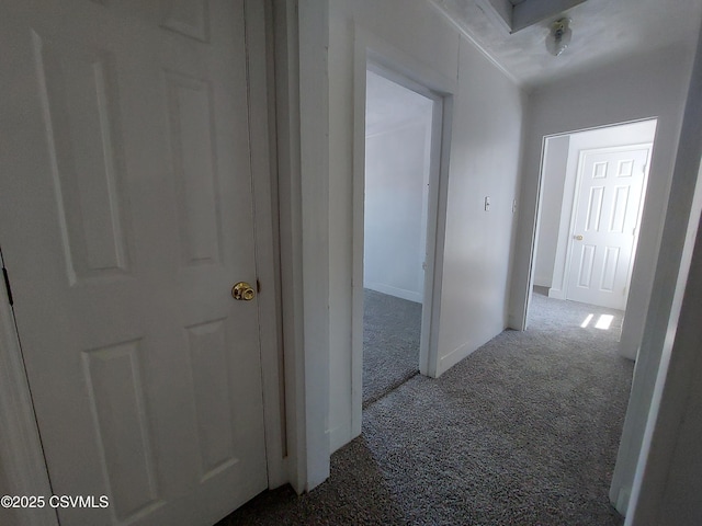 hallway featuring carpet