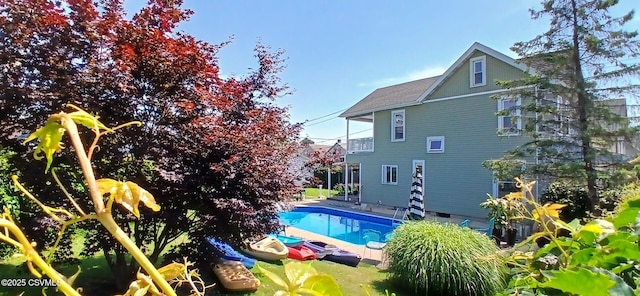 view of swimming pool