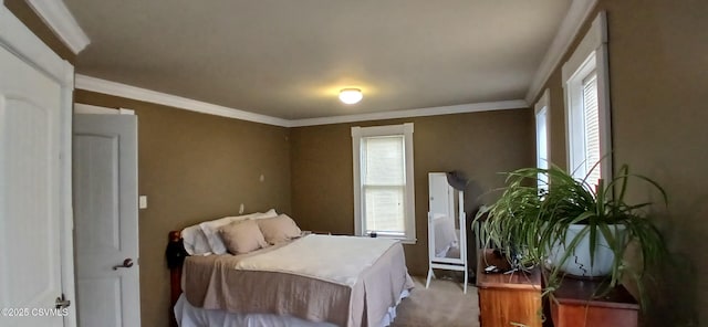 bedroom featuring ornamental molding