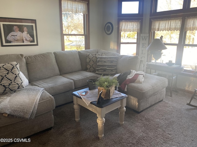 carpeted living room with a wealth of natural light