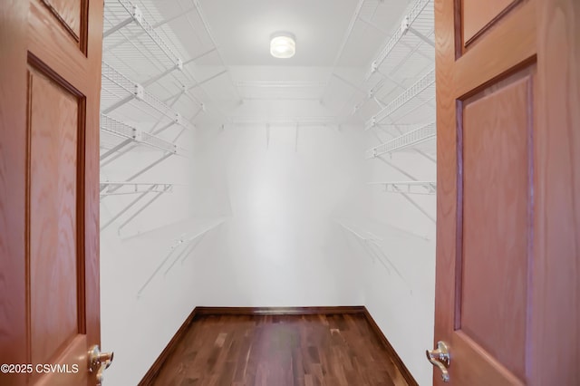 walk in closet with dark wood-type flooring