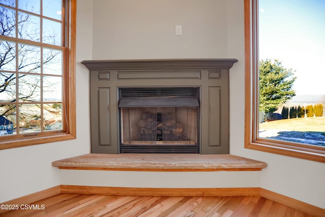 interior details with hardwood / wood-style flooring