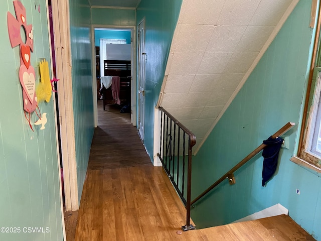 hall with wooden walls, ornamental molding, and hardwood / wood-style flooring