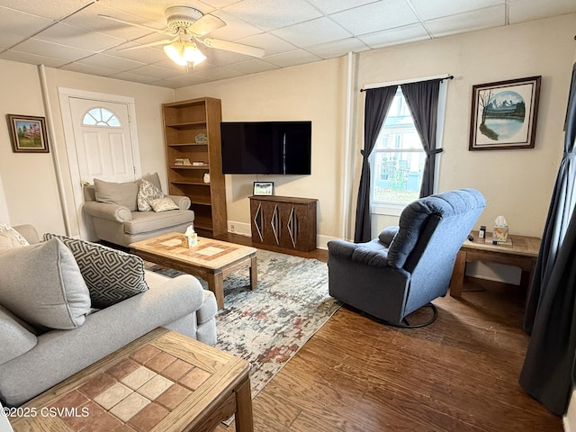 living room featuring ceiling fan, a drop ceiling, and dark hardwood / wood-style floors