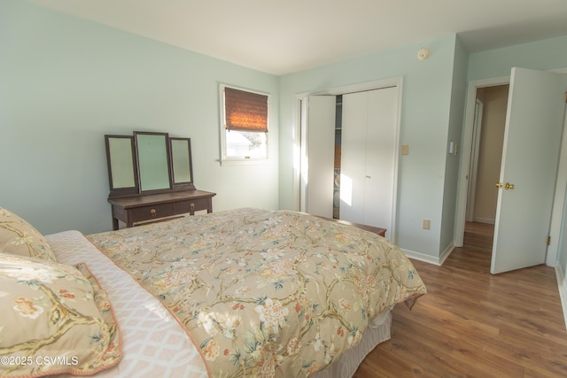 bedroom featuring a closet and wood-type flooring