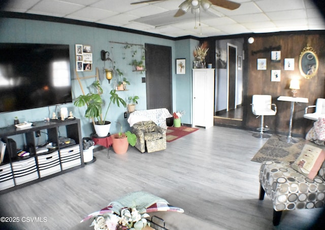 living room featuring ceiling fan, wood-type flooring, a drop ceiling, and wooden walls