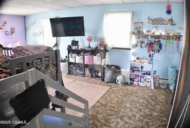 bedroom with carpet flooring