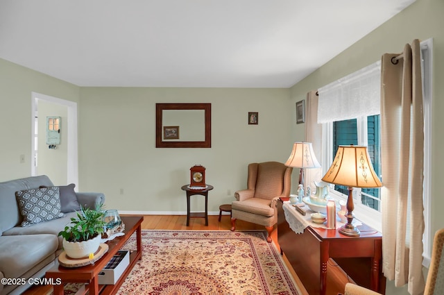 living room with hardwood / wood-style floors