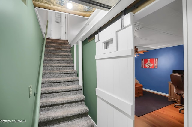 stairway featuring ceiling fan and wood-type flooring