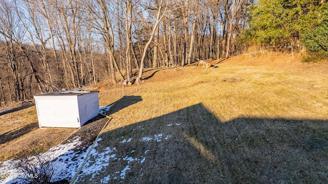 view of yard with a storage unit