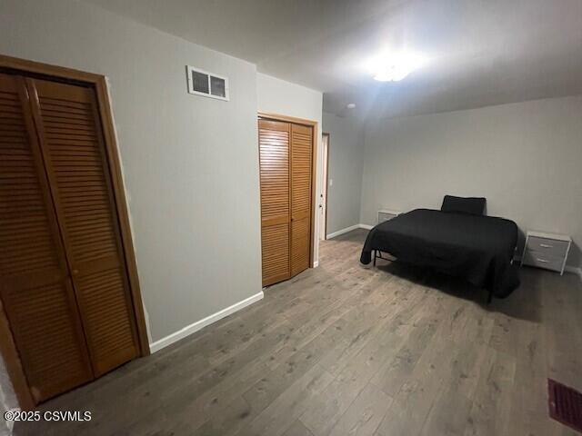 bedroom with two closets and wood-type flooring