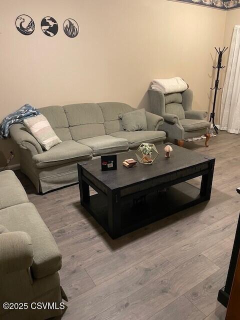 living room with hardwood / wood-style floors