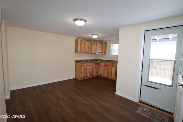 kitchen with sink, light brown cabinets, and dark hardwood / wood-style floors