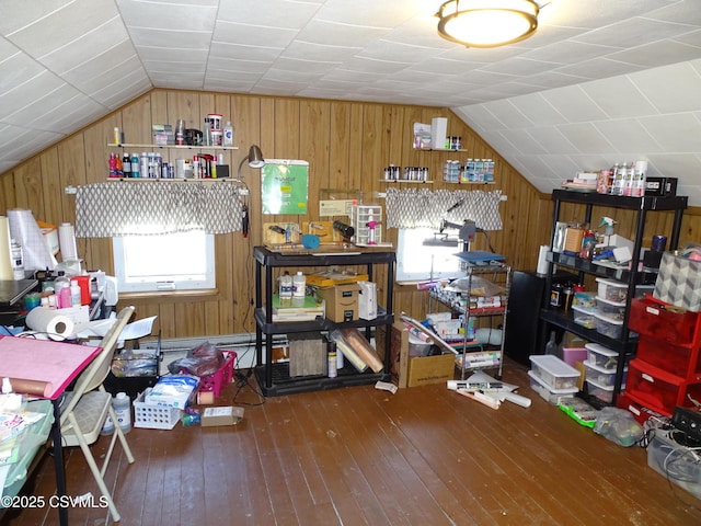 interior space with lofted ceiling, plenty of natural light, and dark hardwood / wood-style floors