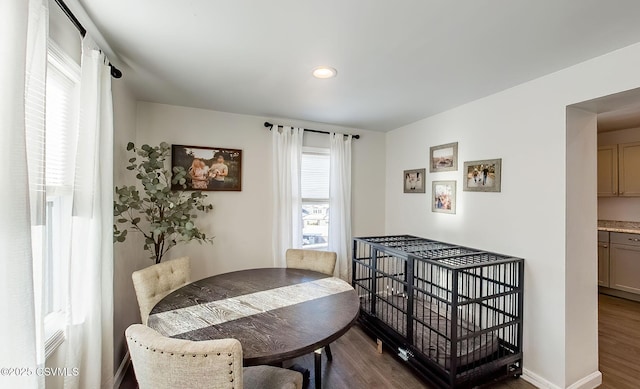 dining space featuring hardwood / wood-style floors