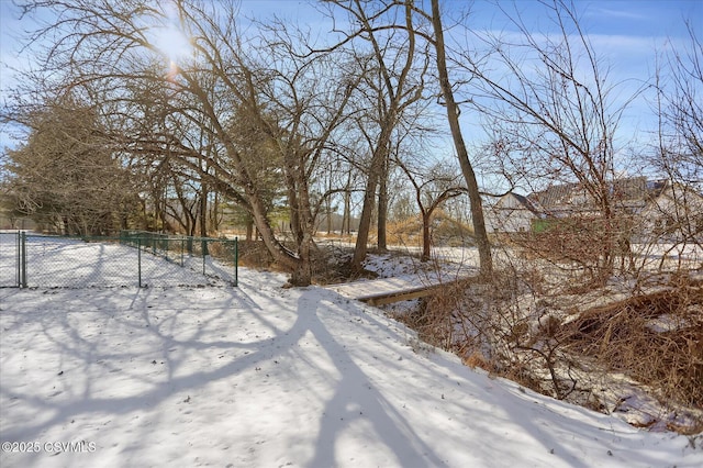 view of yard layered in snow