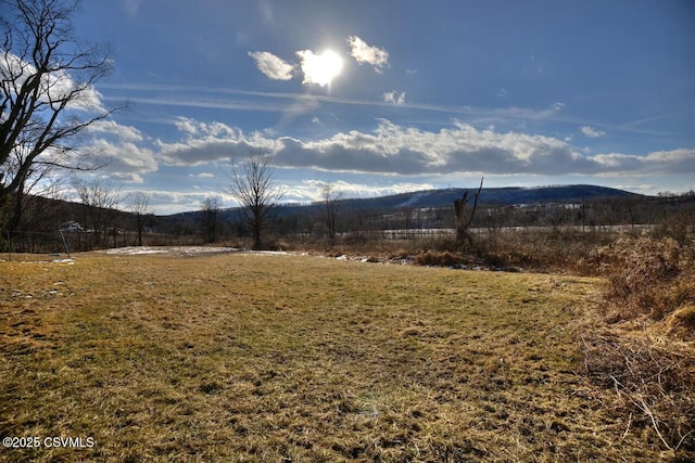 view of yard featuring a mountain view and a rural view