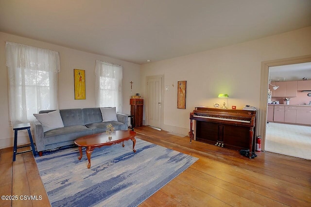 living room featuring light wood-type flooring