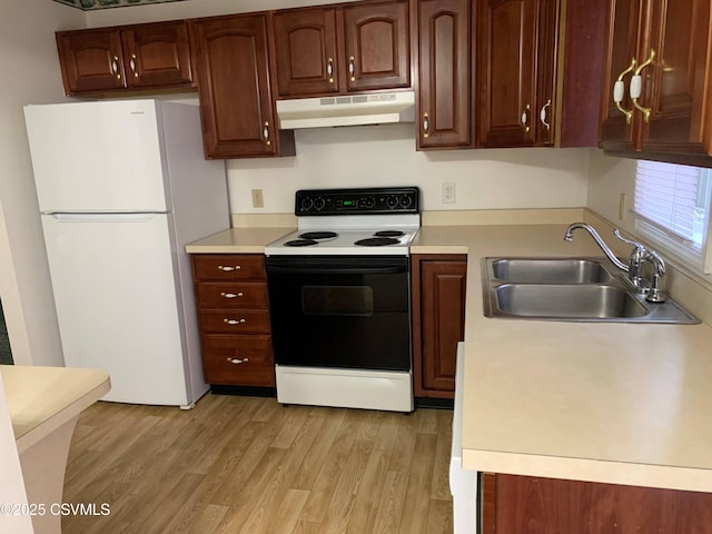 kitchen with white fridge, electric range oven, sink, and light hardwood / wood-style floors